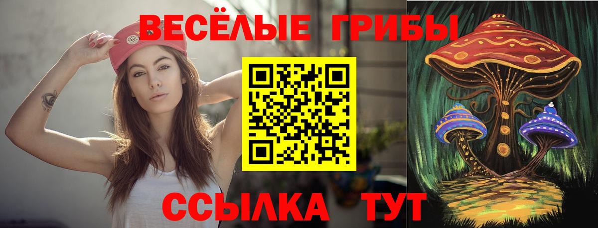 Галлюциногенные грибы Psilocybine cubensis Донецк